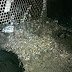 Electrochlorination Plant di PLTU
