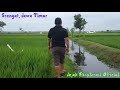 [Srengat, JATIM] Area Persawahan di Blitar yang Sangat Subur dengan Aneka Tanaman Agro